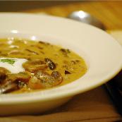 Hungarian Mushroom Soup